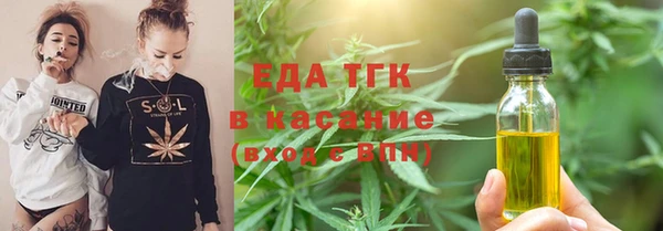 индика Армянск
